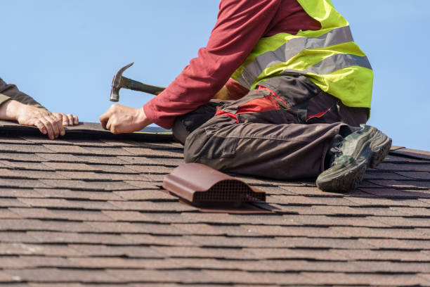Best Shingle Roofing Installation  in Norman Park, GA
