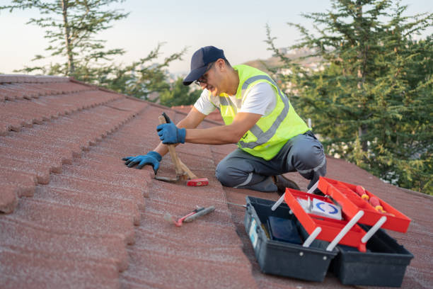 Best Roof Replacement Cost  in Norman Park, GA