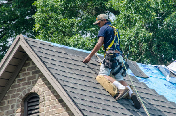 Best Commercial Roofing Services  in Norman Park, GA